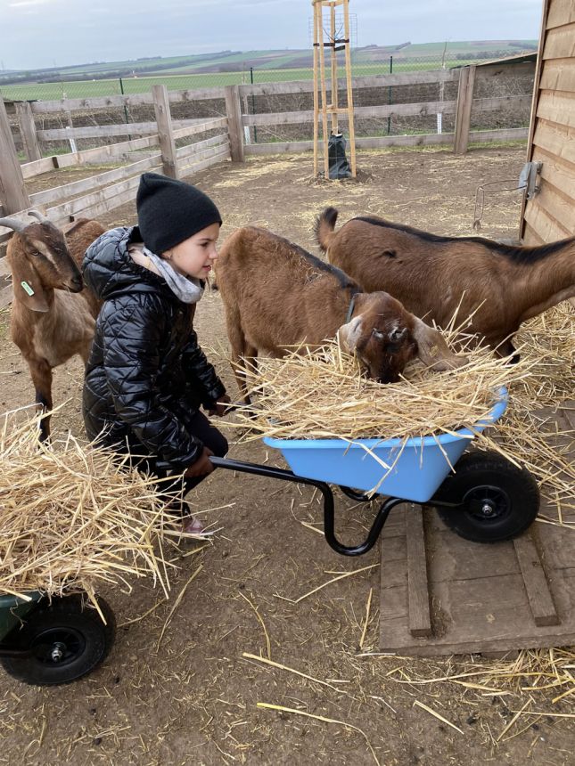 Staň se farmářem!