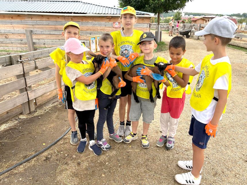 Merlinův farmářský příměšťák