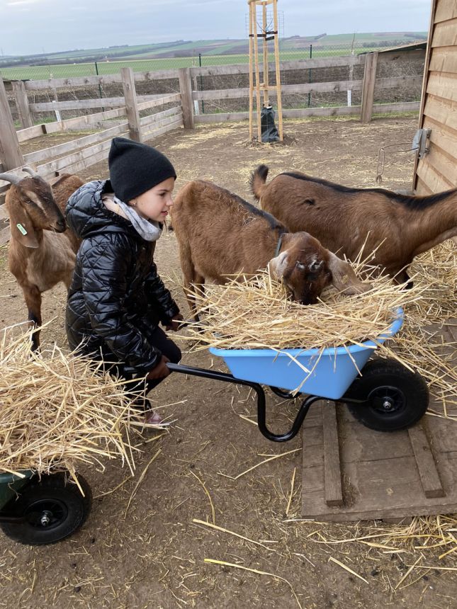 Staň se farmářem!